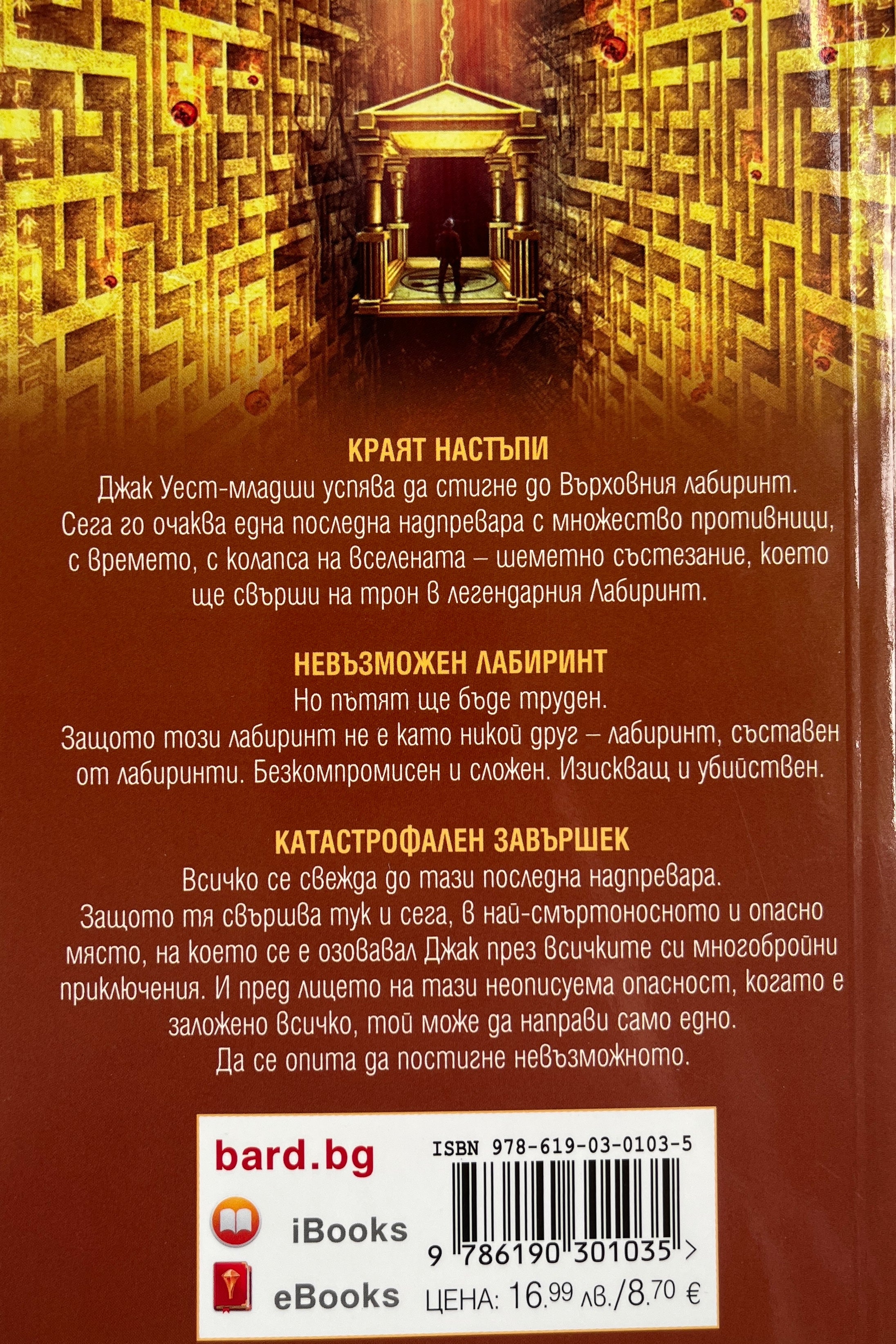 Един невъзможен лабиринт - Матю Райли - задна корица