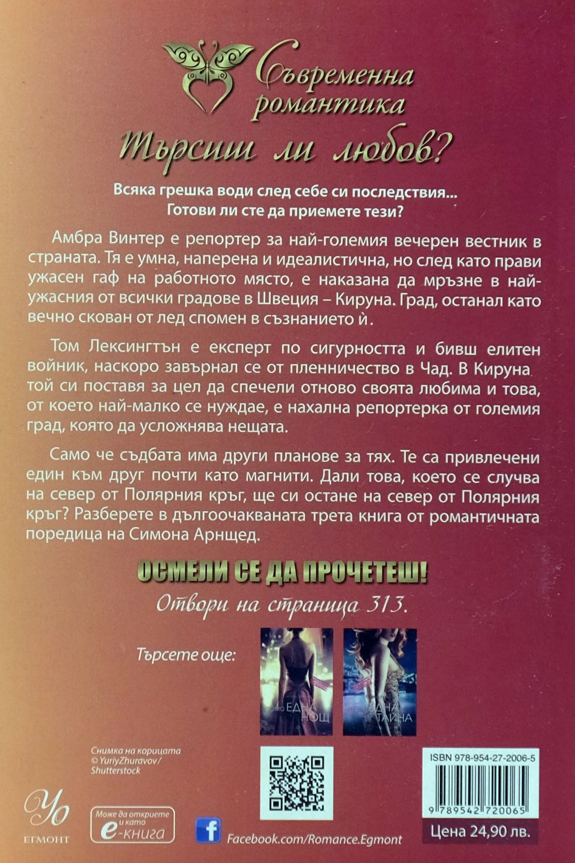 Само един риск - Симона Арнщед - задна корица