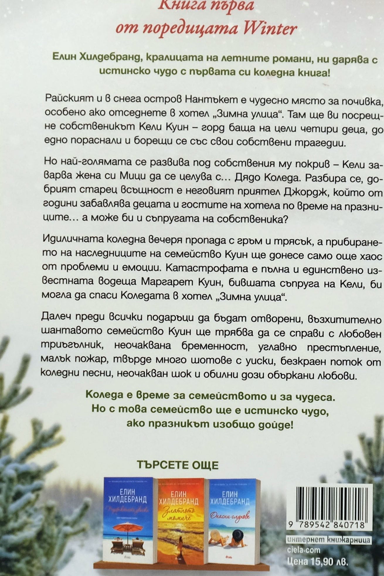 Зимна улица - Елин Хилдебранд - задна корица