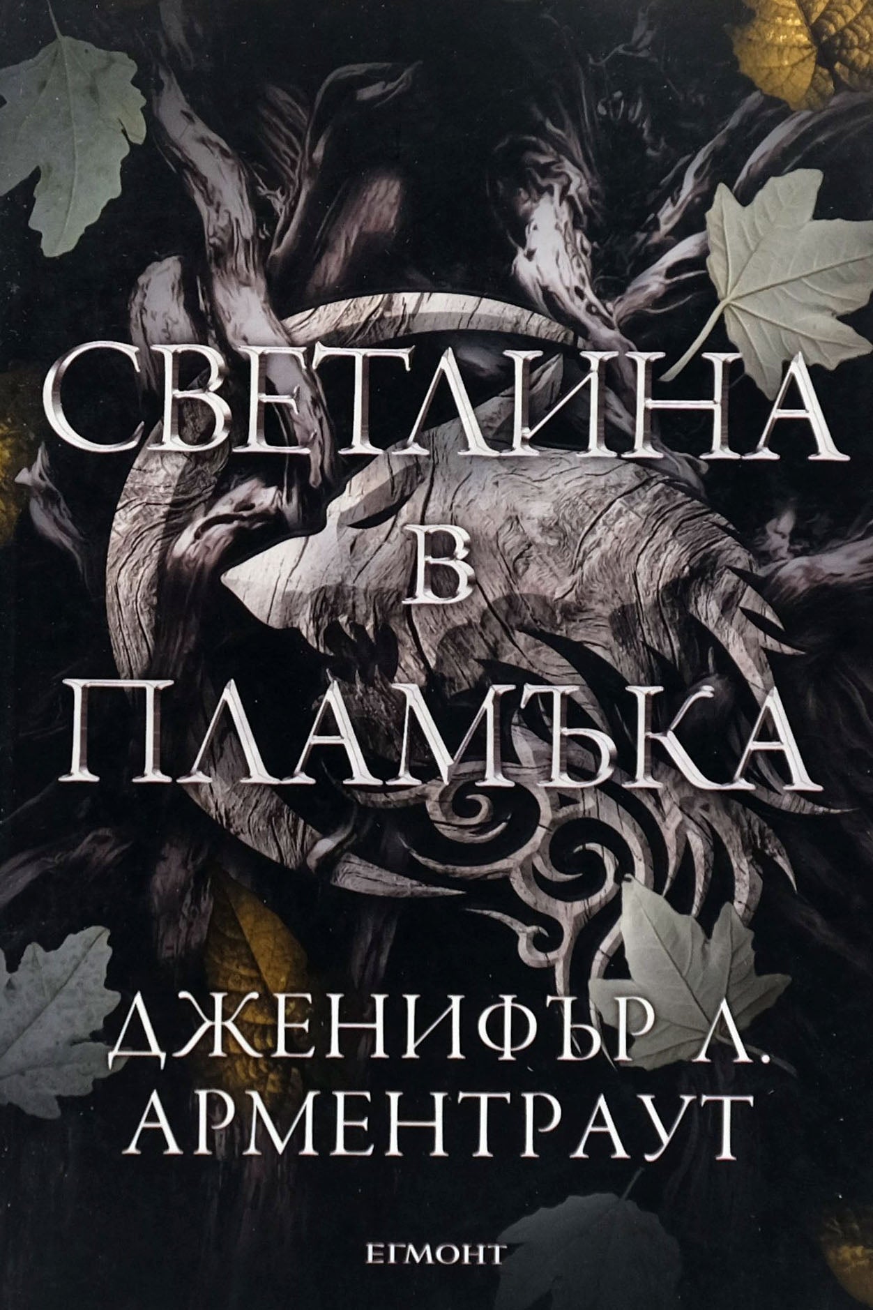 Светлина в пламъка - Дженифър Л. Арментраут - предна корица