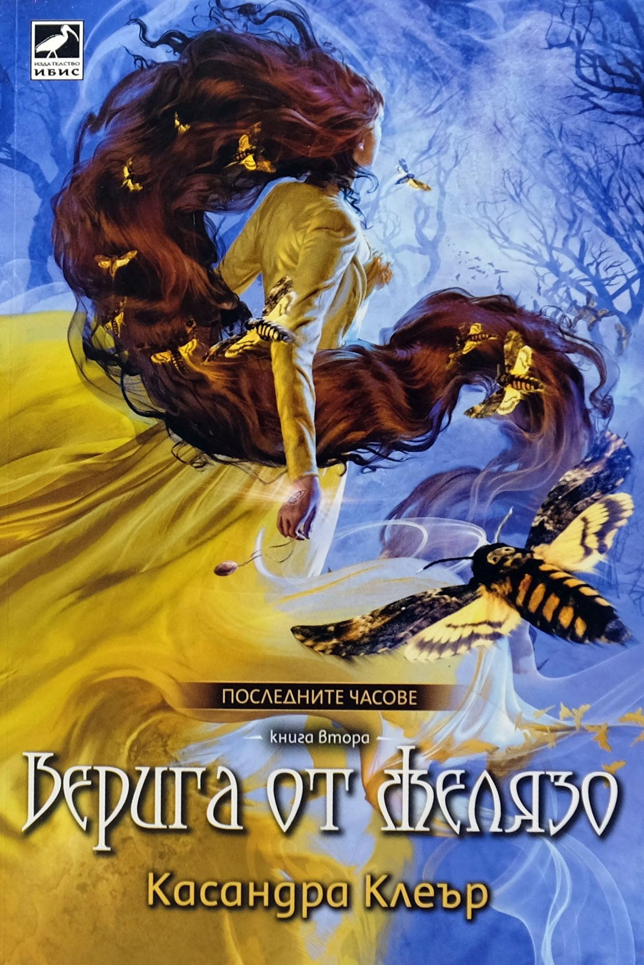 Верига от желязо - Касандра Клеър - предна корица