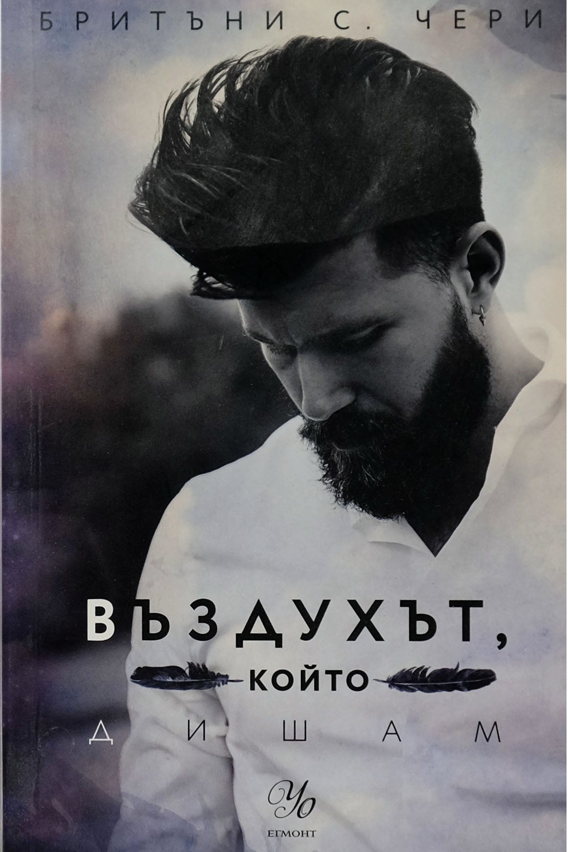 Въздухът, който дишам - Бритъни С. Чери - предна корица