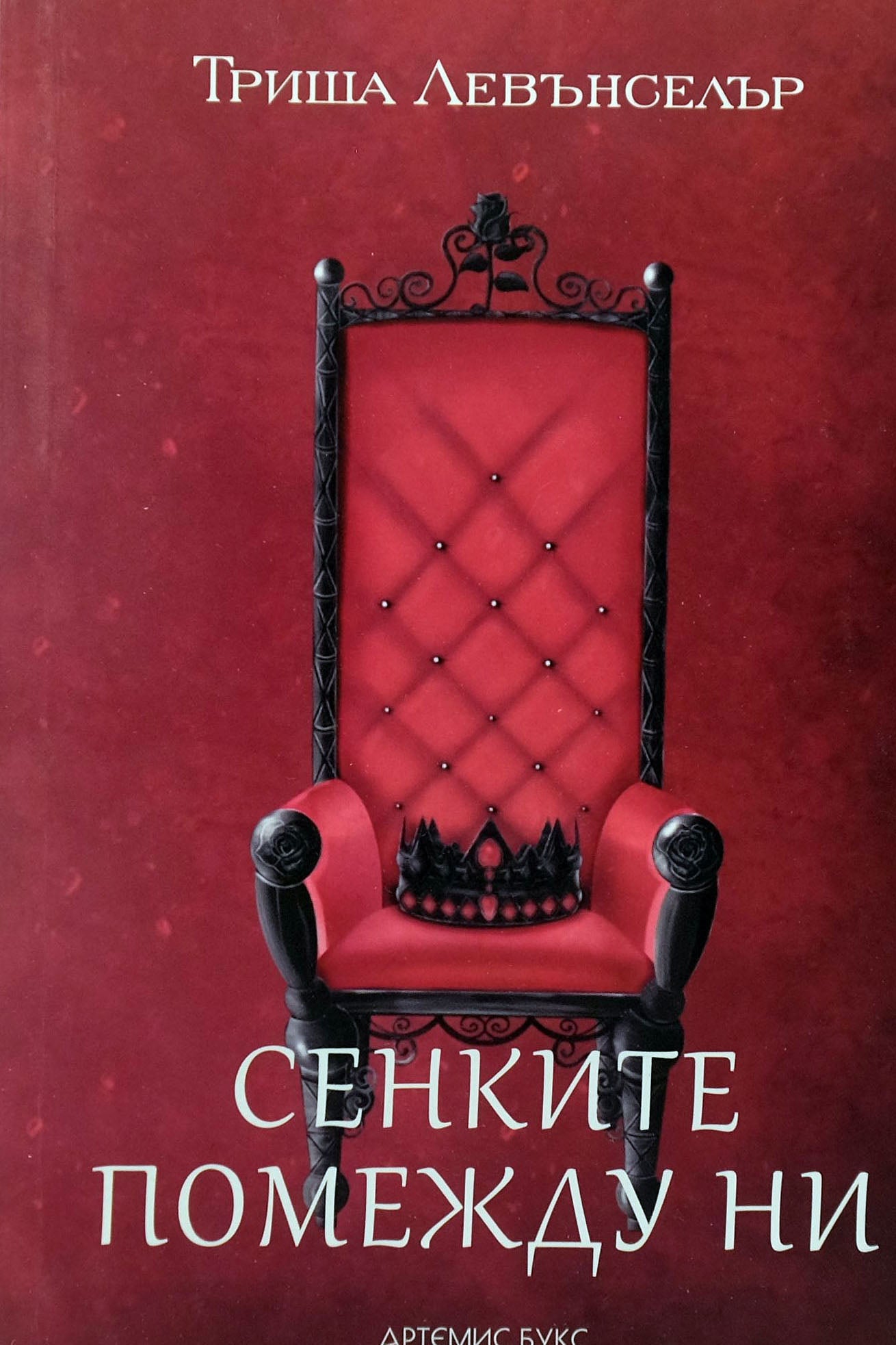 Сенките помежду ни - Триша Левънселър - предна корица