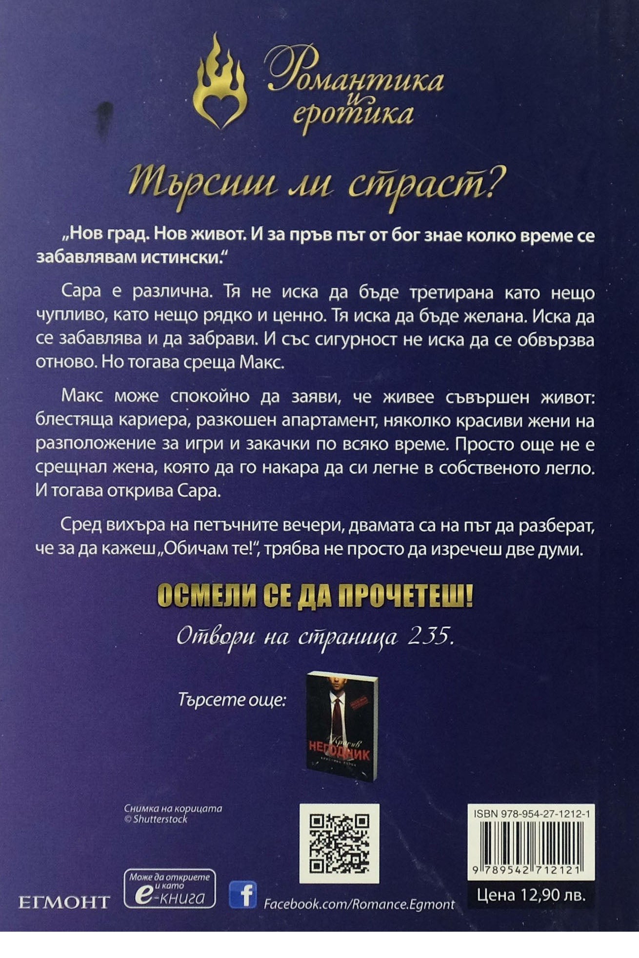 Красив непознат - Кристина Лорен - задна корица