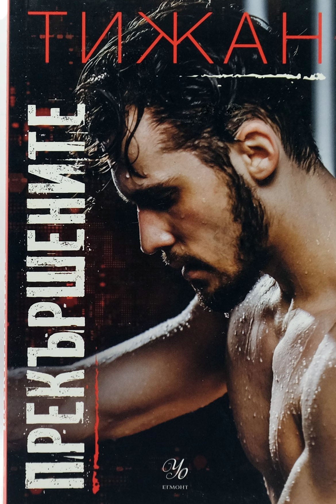 Прекършените - Тижан - предна корица