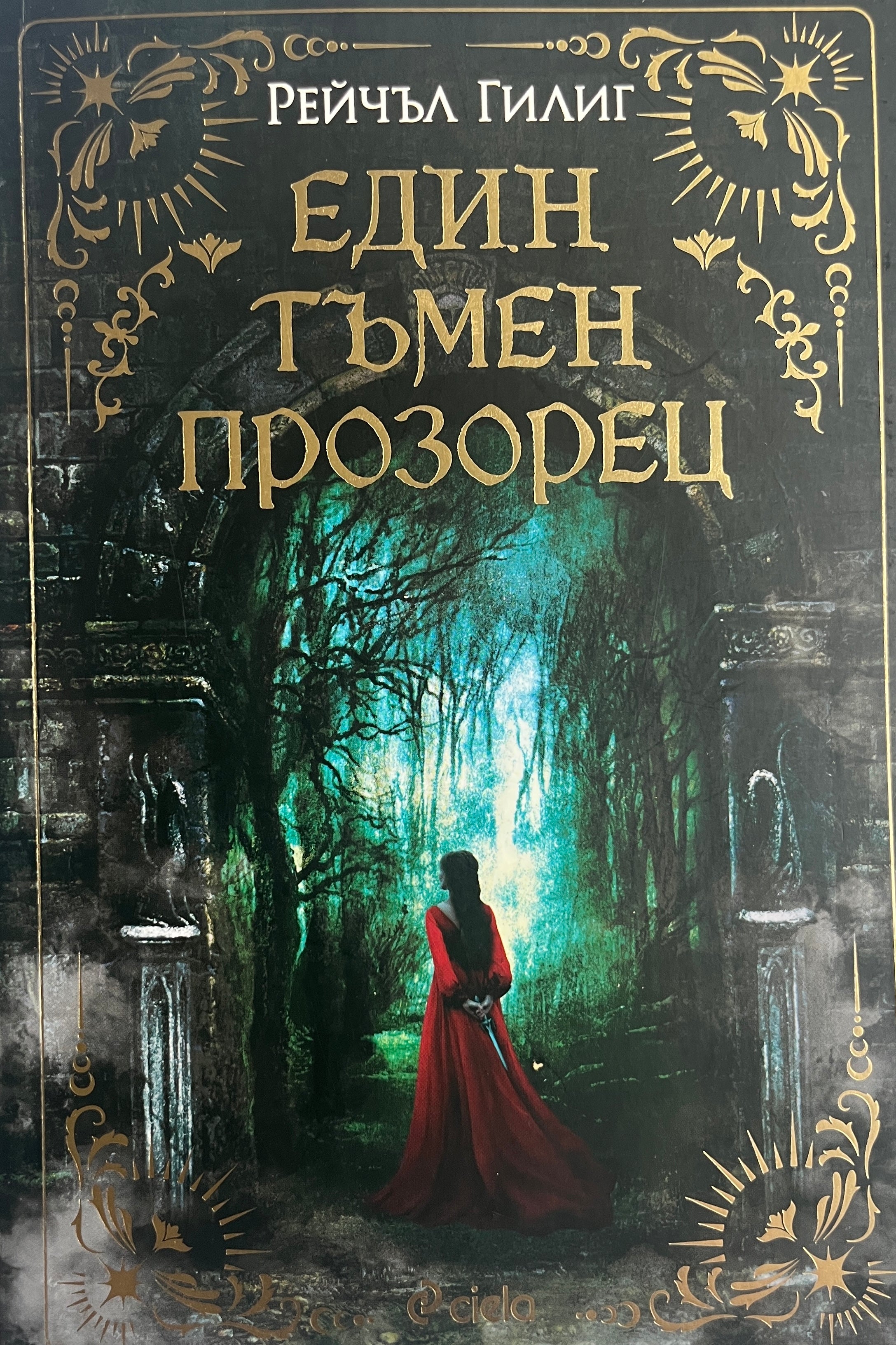 Един тъмен прозорец - Рейчъл Гилиг - предна корица