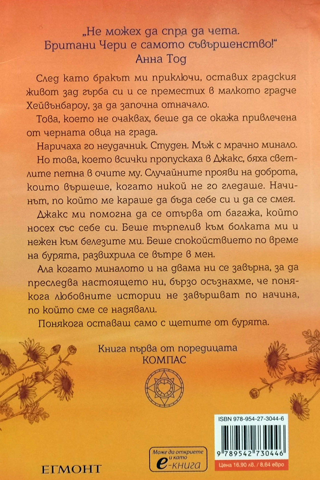 Южни бури - Бритъни С. Чери - задна корица