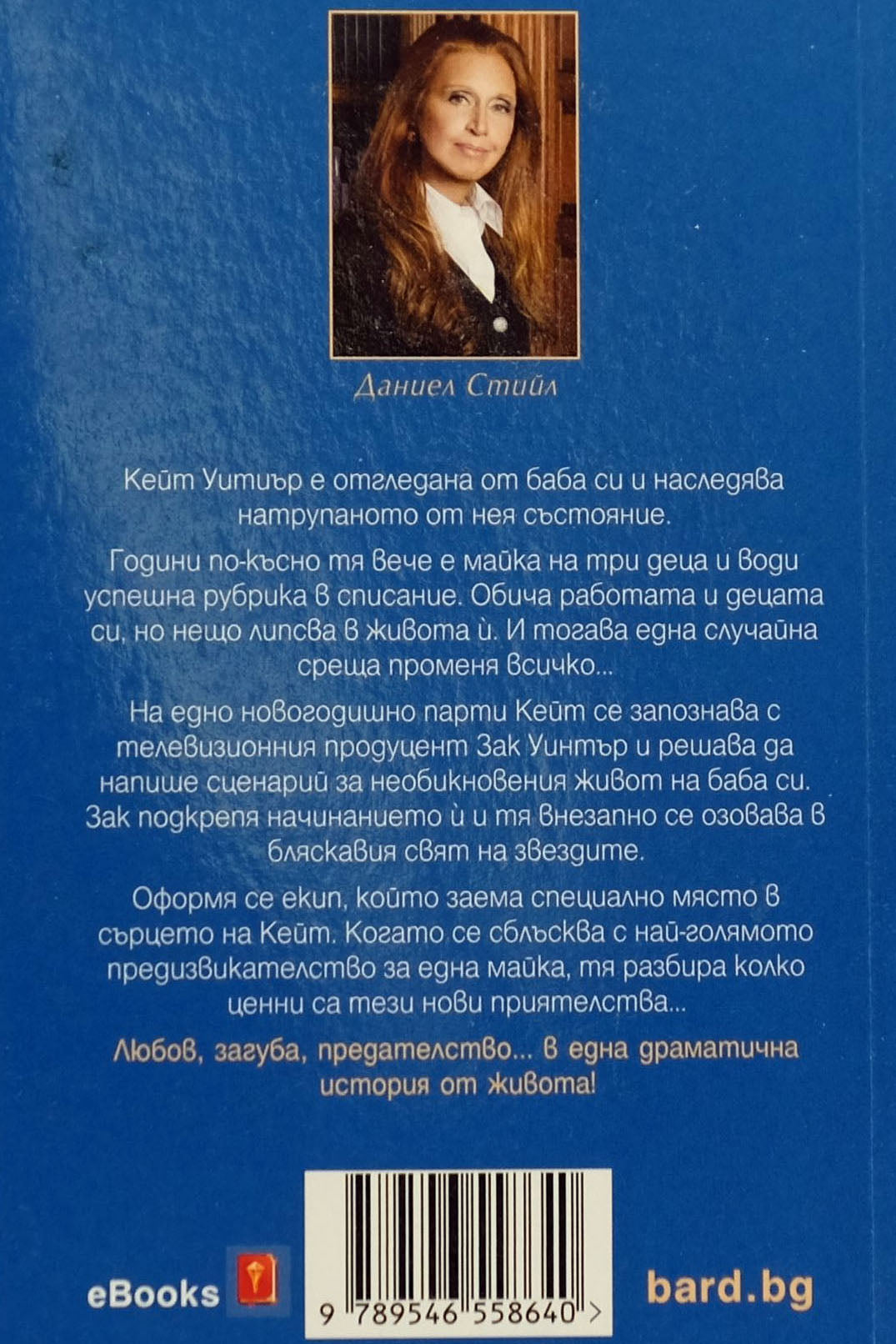 Сериалът - Даниел Стийл - задна корица