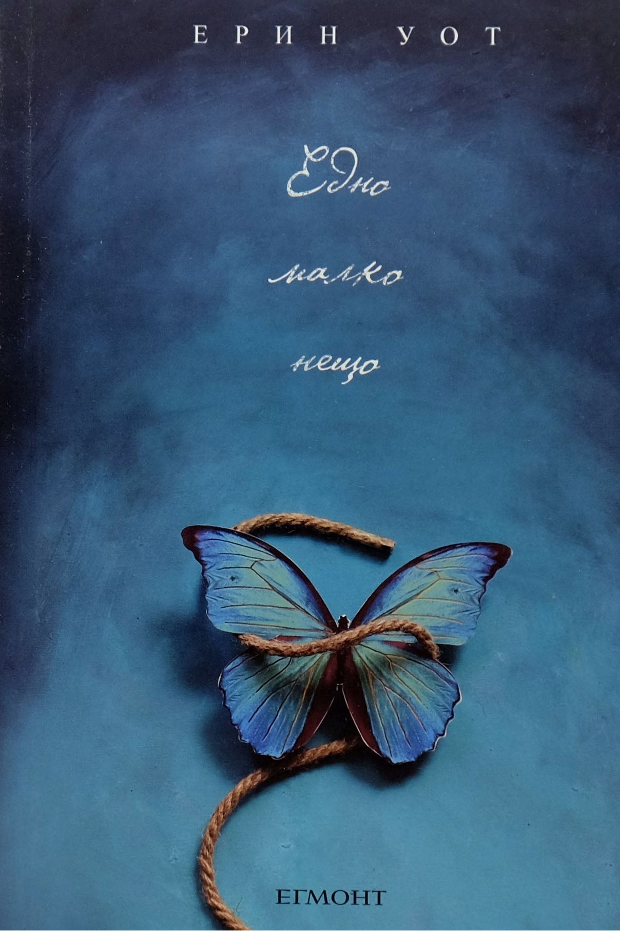 Едно малко нещо - Ерин Уот - предна корица