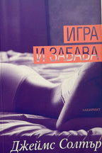 Игра и забава - Джеймс Солтър - предна корица