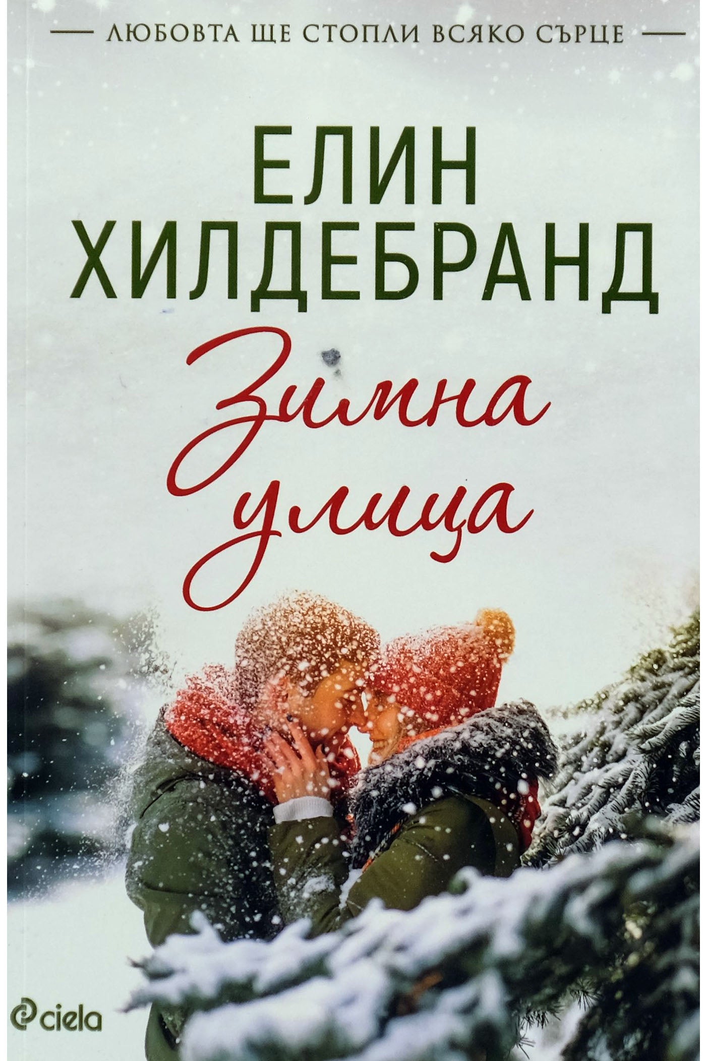 Зимна улица - Елин Хилдебранд - предна корица