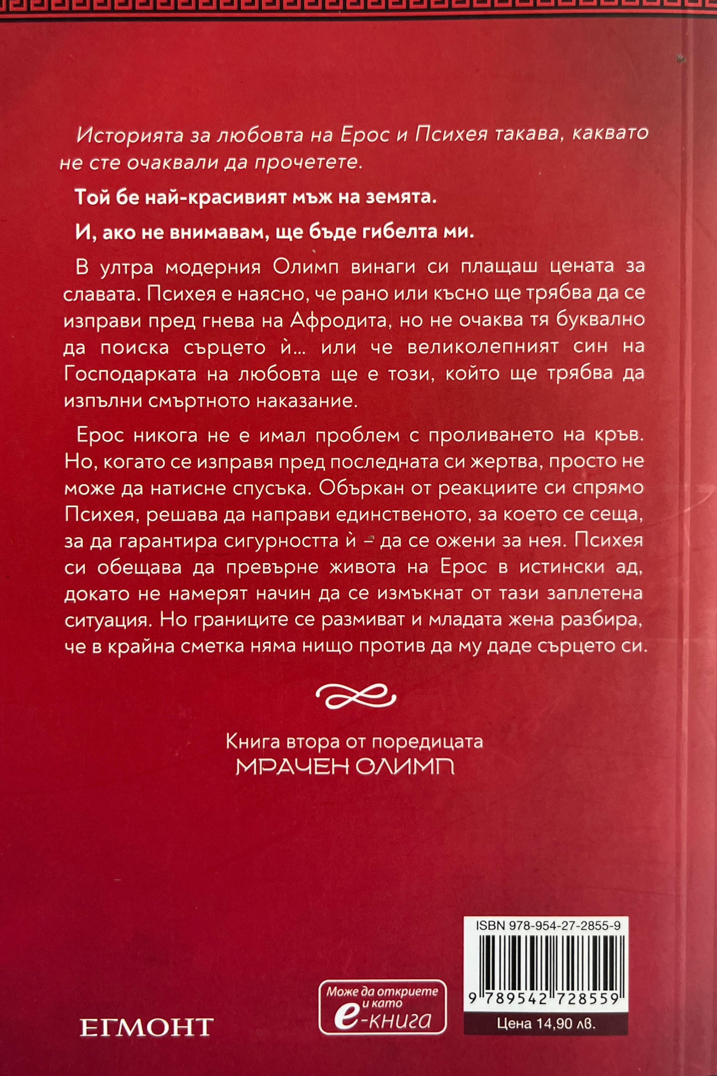 Електриков идол - Кейти Робърт - задна корица