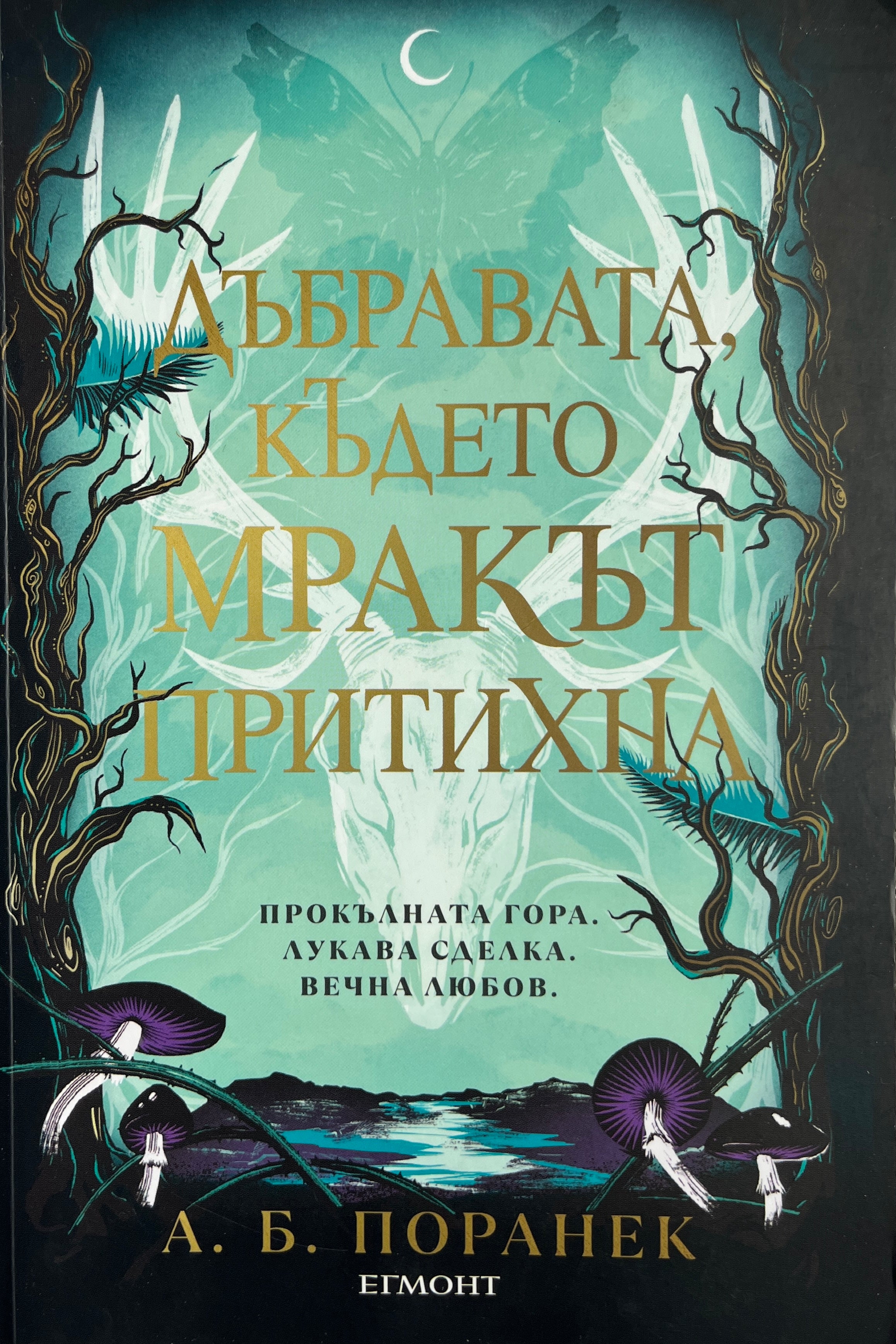 Дъбравата, където мракът притихна - А.Б. Поранек - предна корица