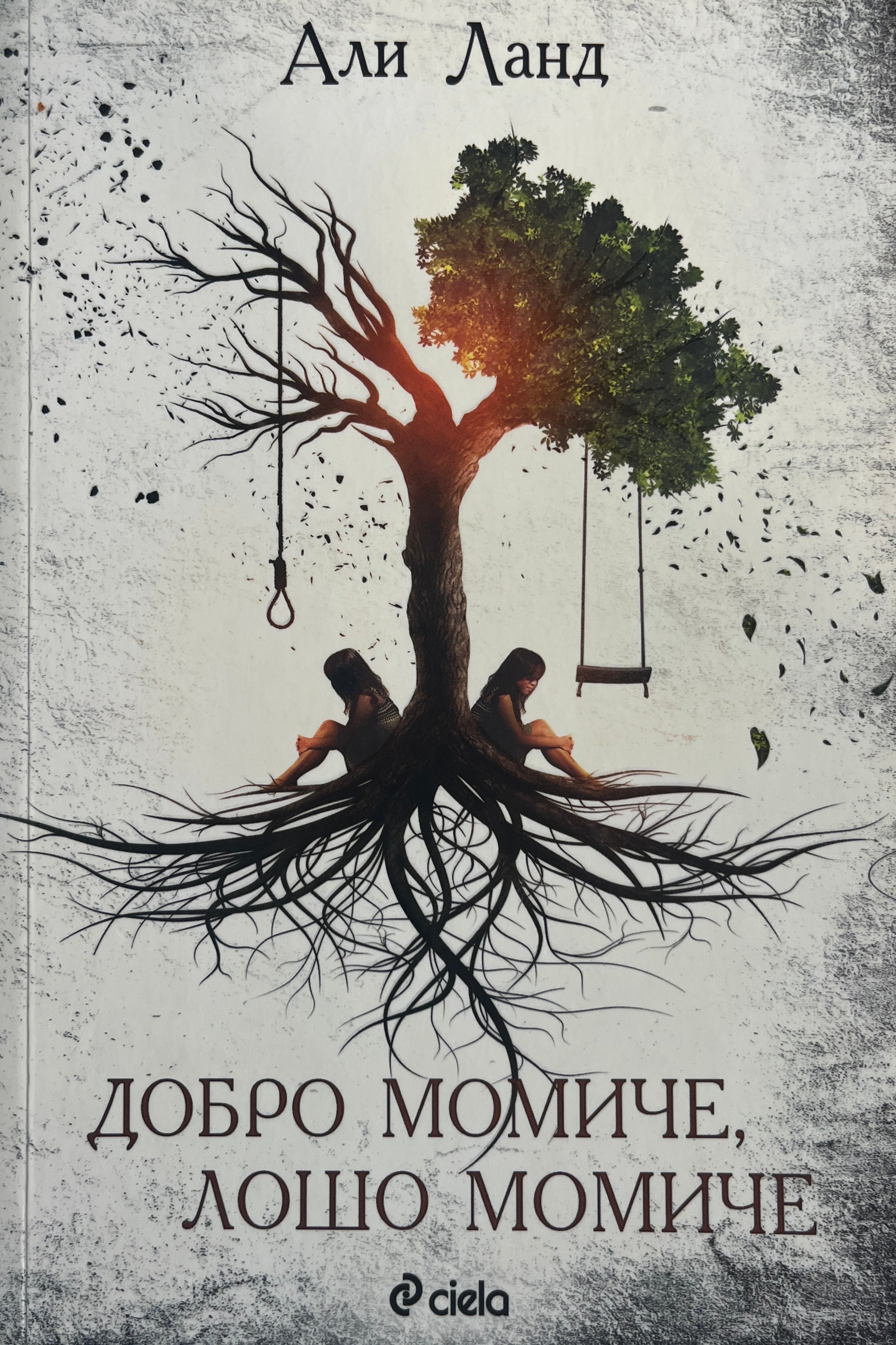 Добро момиче, лошо момиче - Али Ланд - предна корица