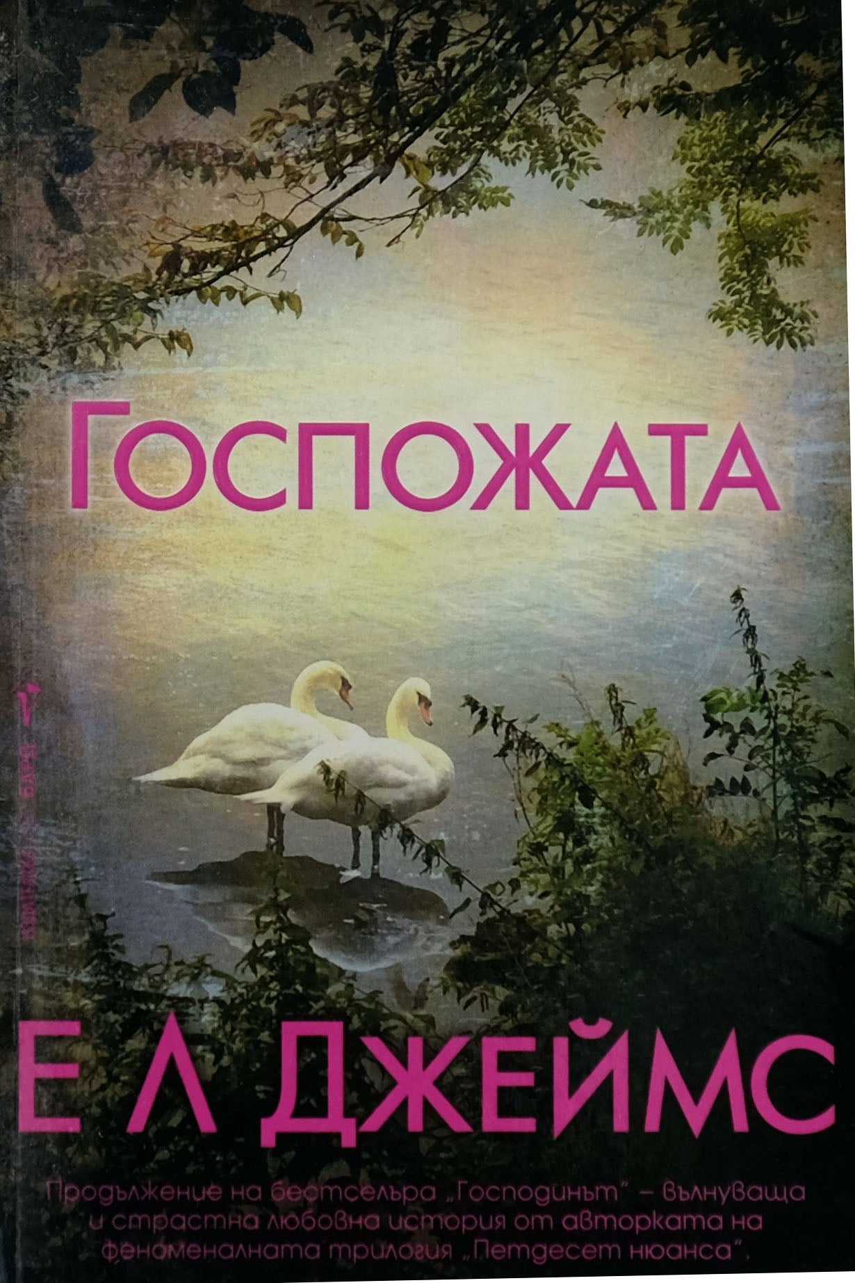 Госпожата - Е Л Джеймс - предна корица