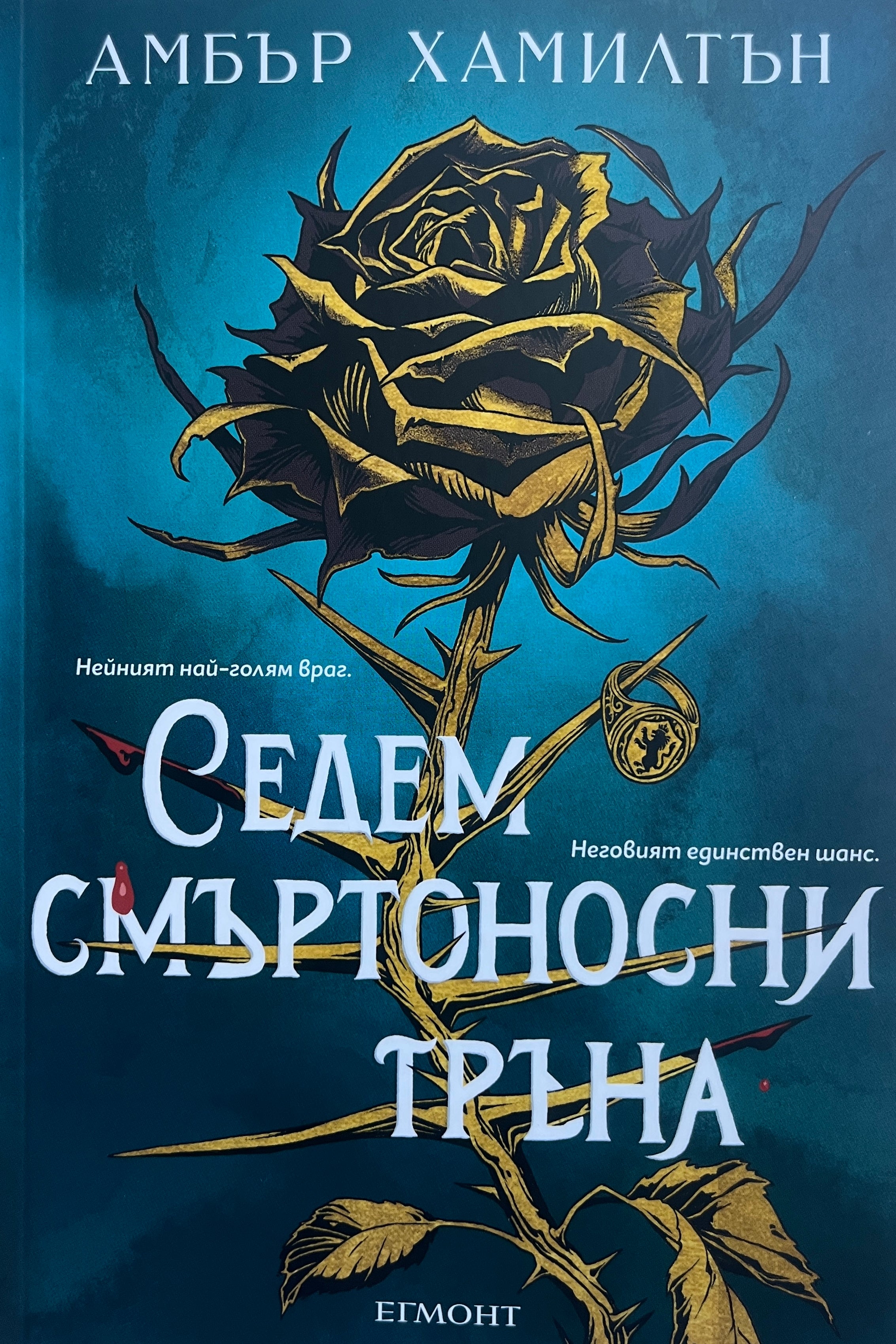 Седем смъртоносни тръна - Амбър Хамилтън - предна корица